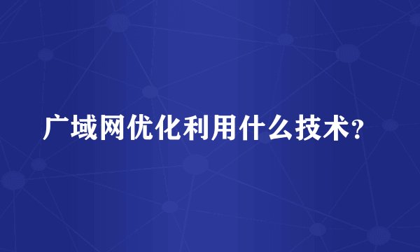 广域网优化利用什么技术？