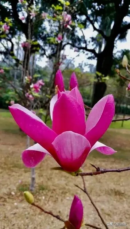 男生爱拍什么风格照片？ ？