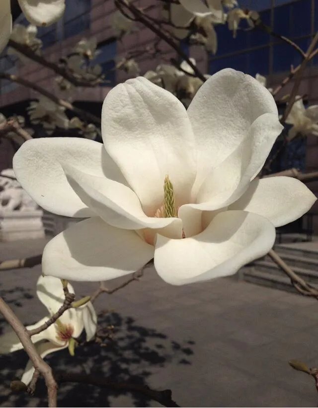 不能说清明节快乐，那这天要如何互相祝福？