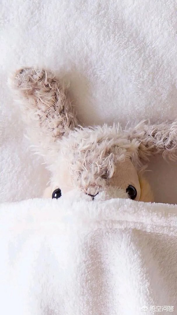 有没有粉色系头像？