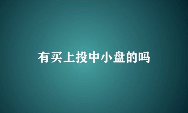 有买上投中小盘的吗