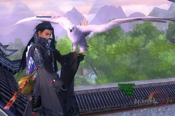 剑网3丐帮宠物隼五种外观游戏实景截图整理