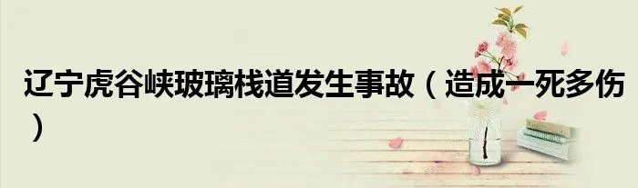 辽宁虎谷峡玻璃栈道发生事故（造成一死多伤）