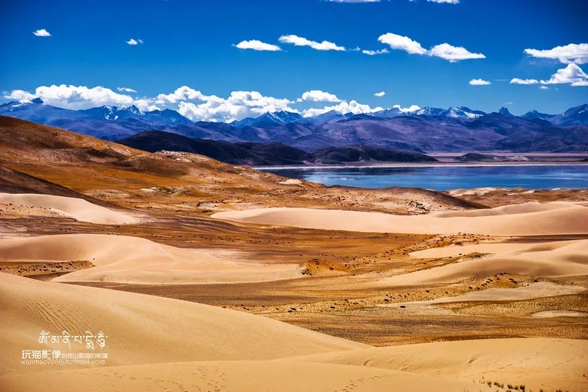 高原天籁组合的介绍