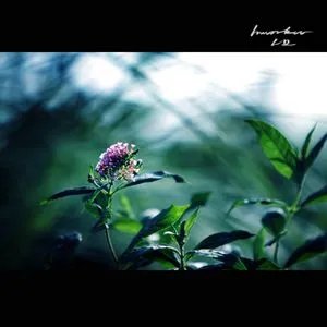 绝对彼此的剧情概述