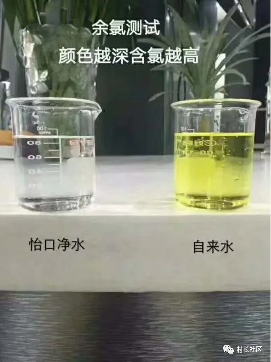 自来水不敢直接喝的举手！