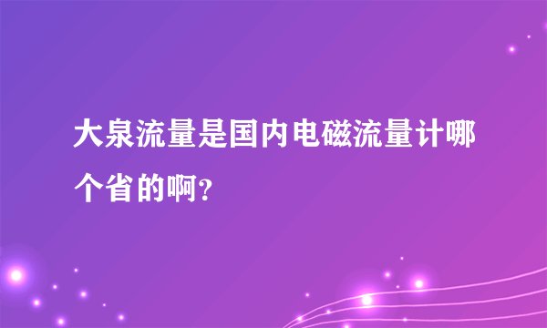 大泉流量是国内电磁流量计哪个省的啊？