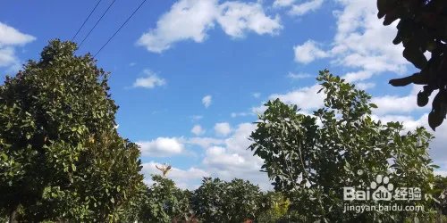 云南十日游最佳攻略