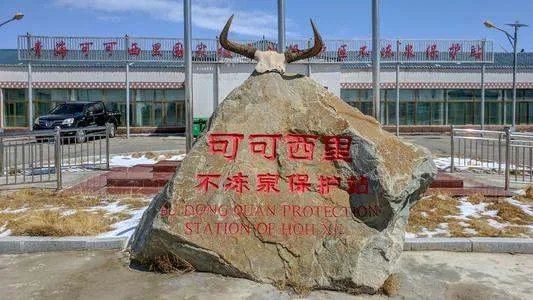 小伙网贷去可可西里捡垃圾引发热议，当事人对此有何回应？