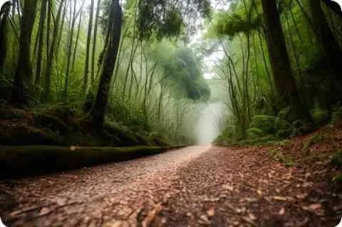 黄昏晓 意思 黄昏晓歌词是什么意思