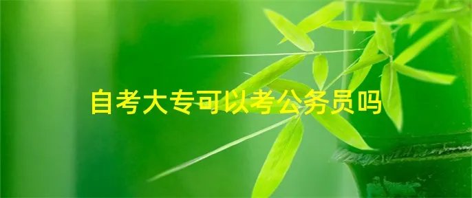 自考大专可以考公务员吗