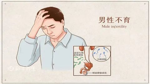 阳痿早泄能治好吗