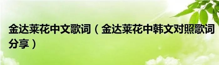 金达莱花中文歌词（金达莱花中韩文对照歌词分享）