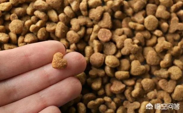 萨摩耶吃什么狗粮好？