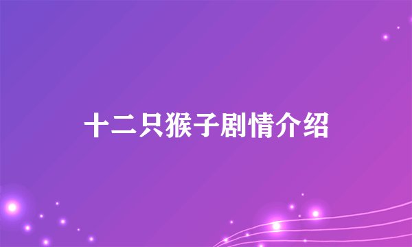 十二只猴子剧情介绍