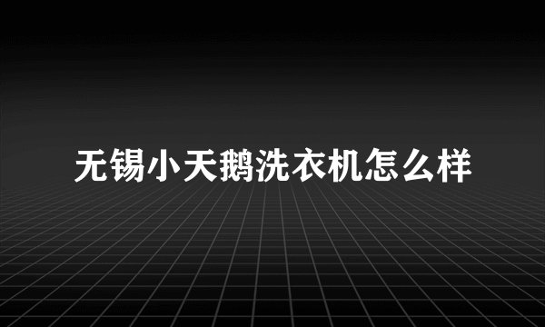 无锡小天鹅洗衣机怎么样
