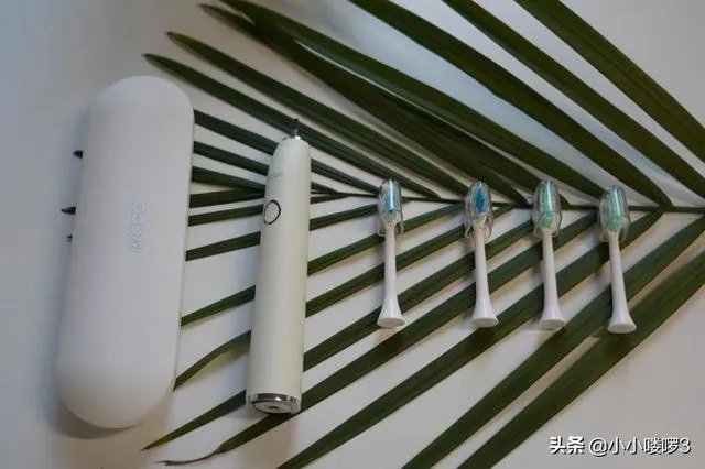 素士的牙刷耐用吗？能用多久呢？