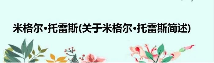 米格尔·托雷斯(关于米格尔·托雷斯简述)