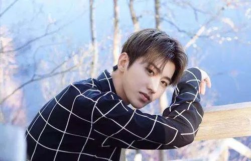 综艺《向上吧少年》重启,哪些明星曾参加过这个节目?