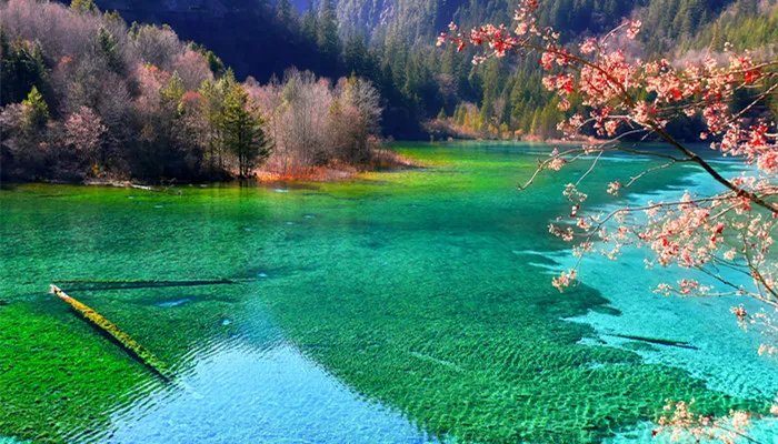 九寨沟海拔有多少米 九寨沟的地名由来