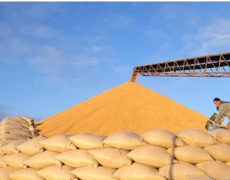 吉林一粮仓突发火灾粮食损失如何？