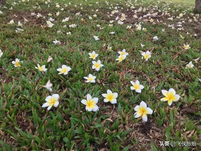 该怎么学习自媒体？