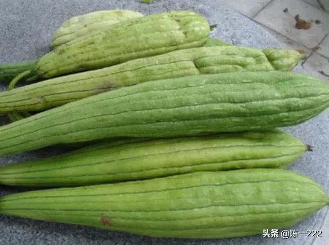 邻居奶奶经常把自己吃不了的蔬菜送给我们吃，我应该怎么拒绝？