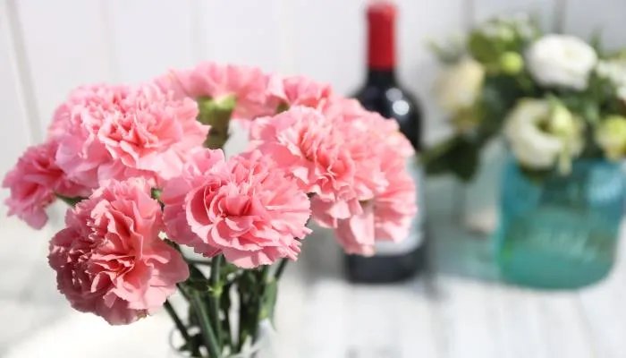 母亲节文案朋友圈