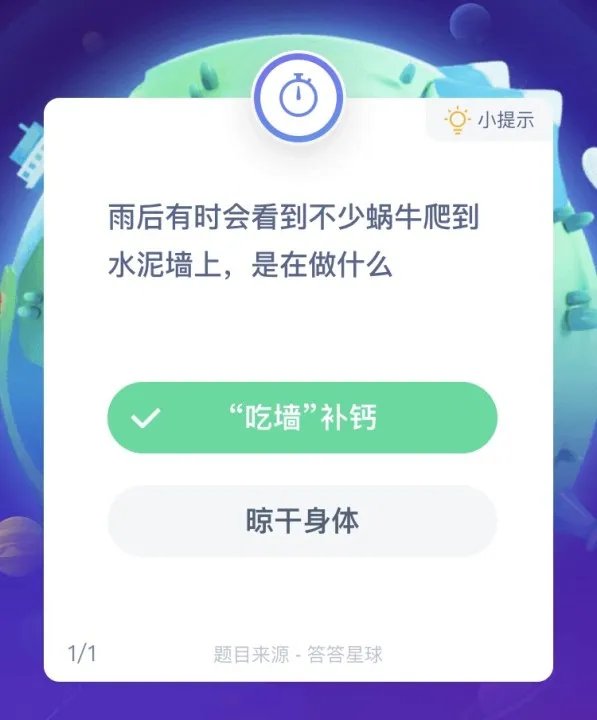 雨后有时会看到不少蜗牛爬到水泥墙上，是在做什么