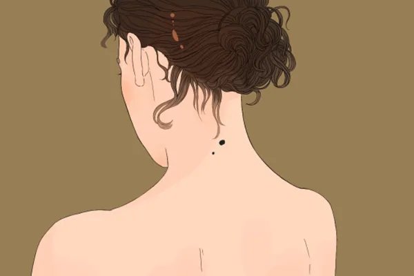 黄柏的功效与用途