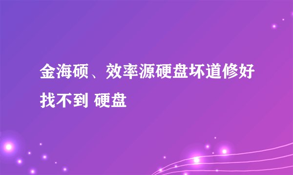 金海硕、效率源硬盘坏道修好找不到 硬盘