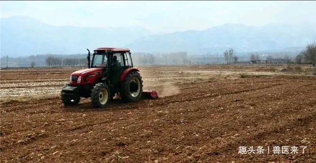 农户在集体荒地上种植竹子，成林后被偷砍且挖掉，能得到赔偿吗？有何依据？