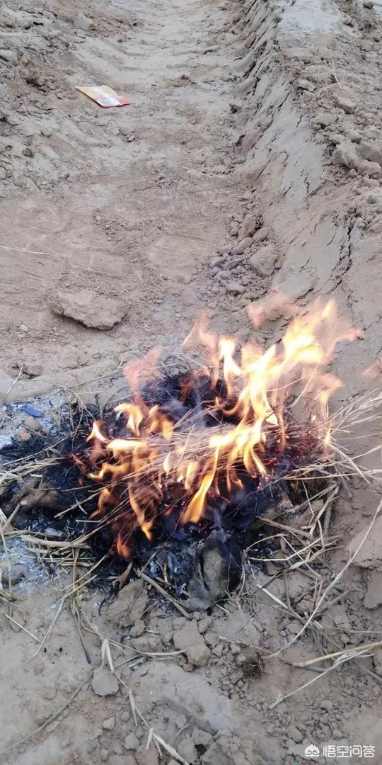 你觉得周星驰不结婚的原因是什么？