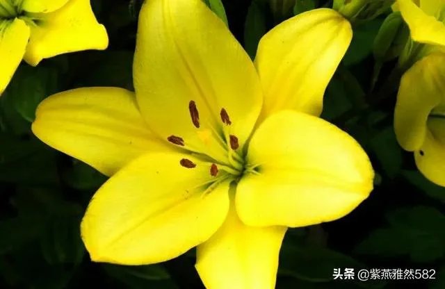 二月二龙抬头有什么美丽诗词？