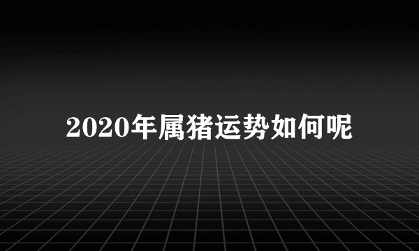 2020年属猪运势如何呢