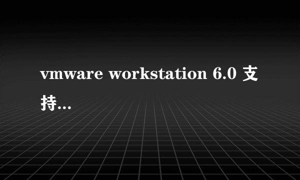 vmware workstation 6.0 支持linux的哪个版本的系统