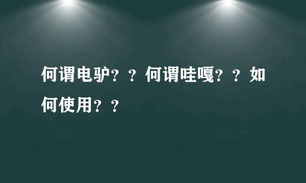 何谓电驴？？何谓哇嘎？？如何使用？？