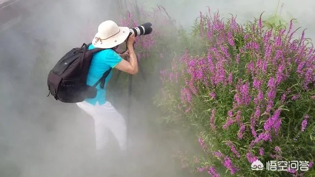 摄影技术提高靠什么，是交流还是看书？