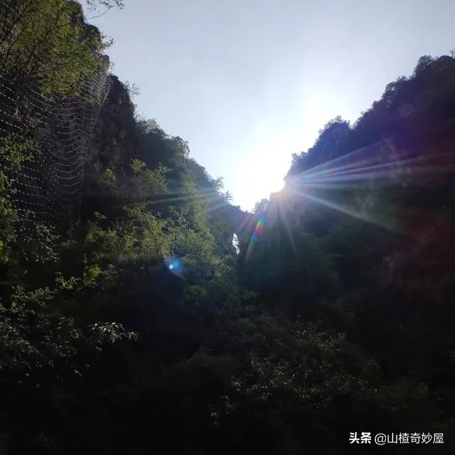 旅行途中你都见过哪些罕见的风景？