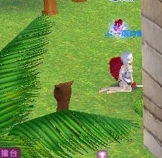 炫舞里的神兽萌萌在哪呢。