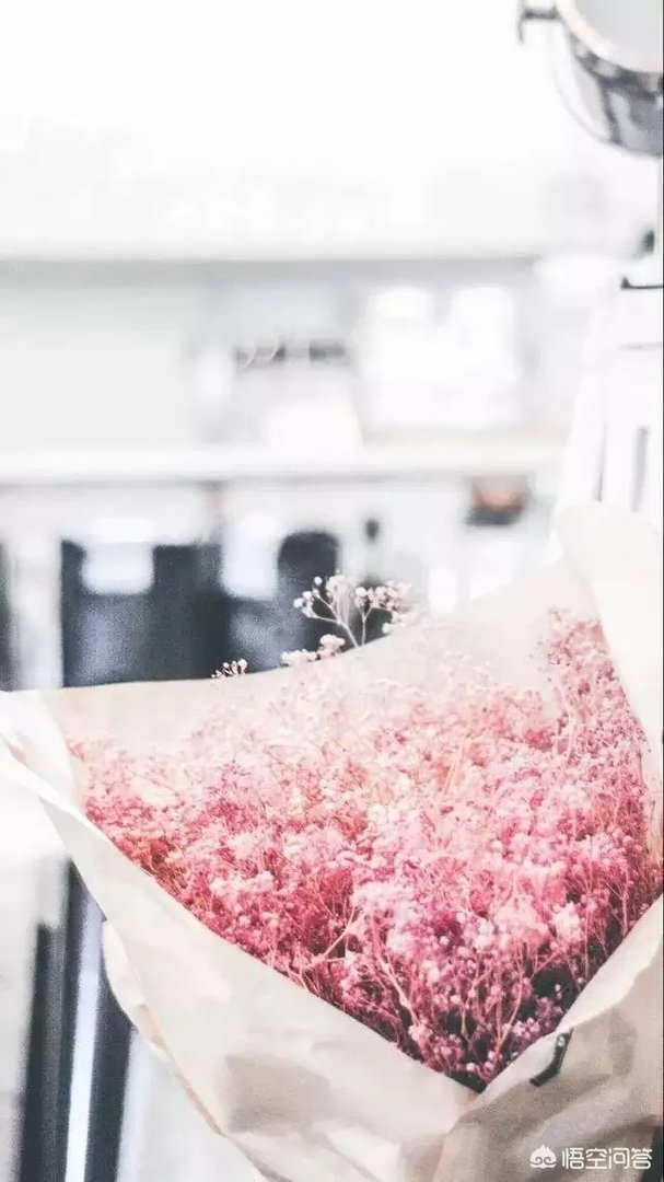 有没有粉色系头像？