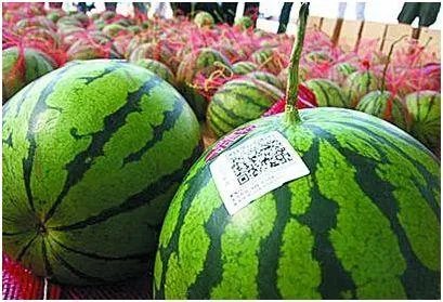 农产品溯源是什么意思？