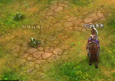 御龙在天家族日常养马任务功略