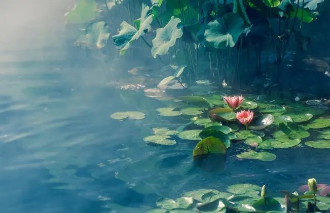 立夏养生小常识短信 立夏养生短信祝福句子