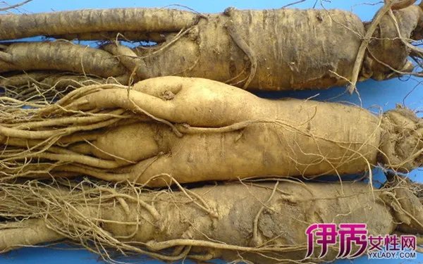 中药图片大全及名称图片欣赏