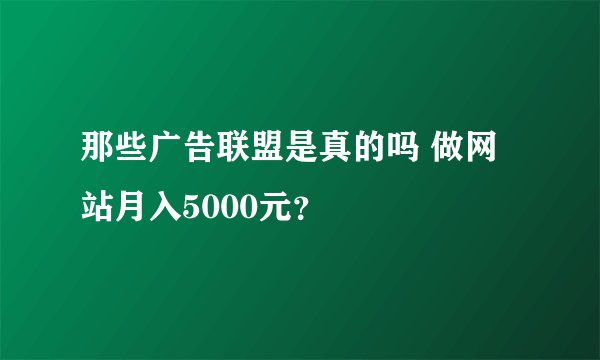 那些广告联盟是真的吗 做网站月入5000元？