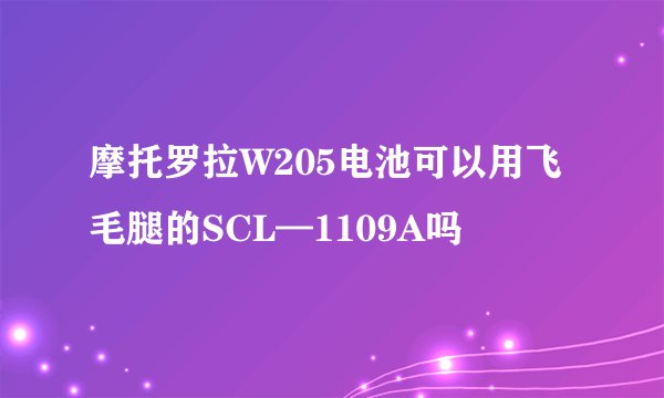 摩托罗拉W205电池可以用飞毛腿的SCL—1109A吗