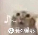 飞机杯有几种姿势？你会玩飞机杯吗？