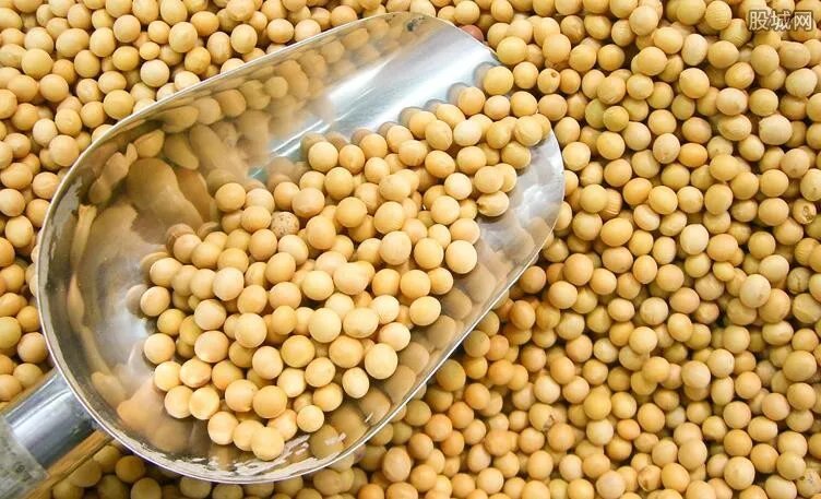 美国大豆多少钱一斤 现在进口中国的数量大吗？