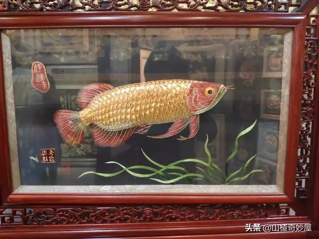 旅行途中你都见过哪些罕见的风景？